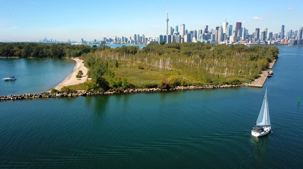 Ward's Island